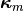 \boldsymbol{\kappa}_m